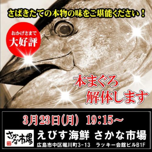 迫力満点！3/23(月)19:15～スタート・まぐろ解体ショー！