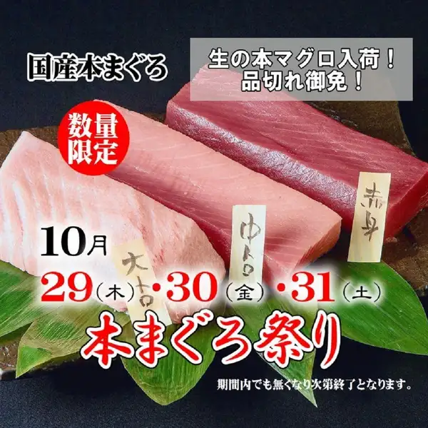 《생본 참치 축제》 10/29(목)~31(토)의 3일간 한정 개최!