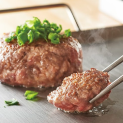 黒毛和牛「WAGYUDIAMONDFUJI」100%使用