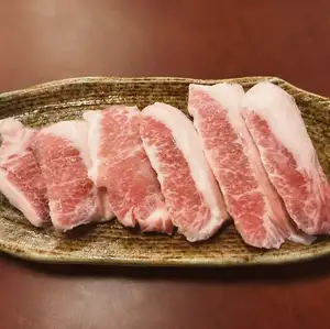猪托罗