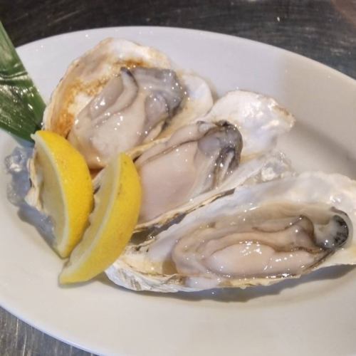 期間限定！生牡蠣入荷中！