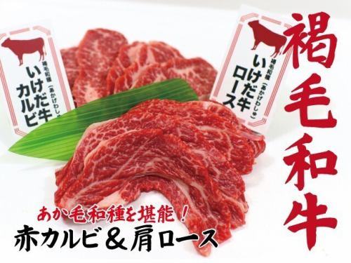 褐毛和牛いけだ牛フェア