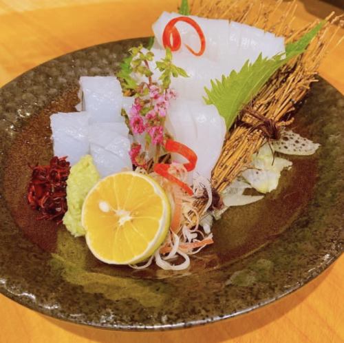 Squid sashimi