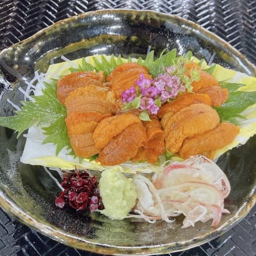 Raw sea urchin