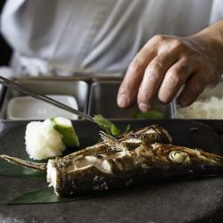 Charcoal grilled barracuda