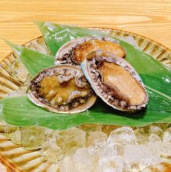 Abalone sashimi