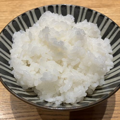 白米飯