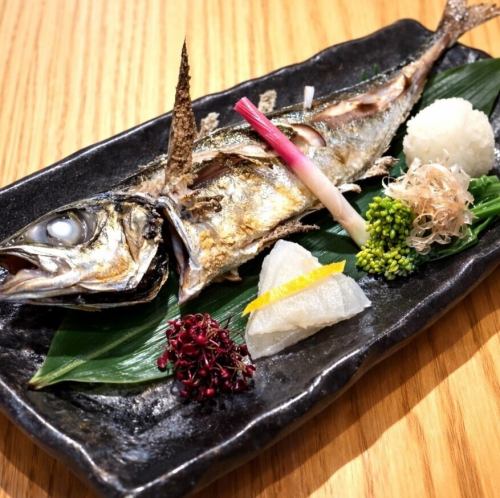 Charcoal grilled horse mackerel