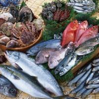 当店の魚介は鮮度が自慢!
