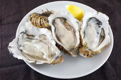 新鮮牡蠣