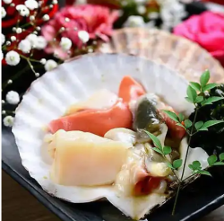 扇贝 扇贝