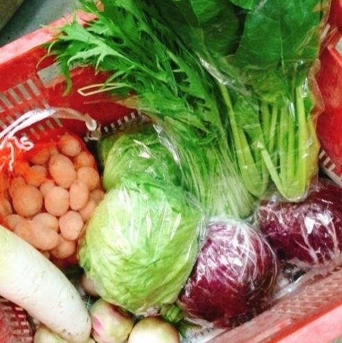 ★Fresh vegetables delivered from contract farmers in Awajishima★