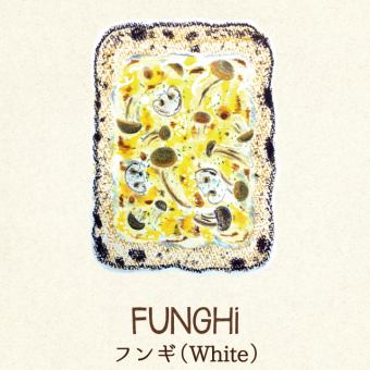 Fungi (white)