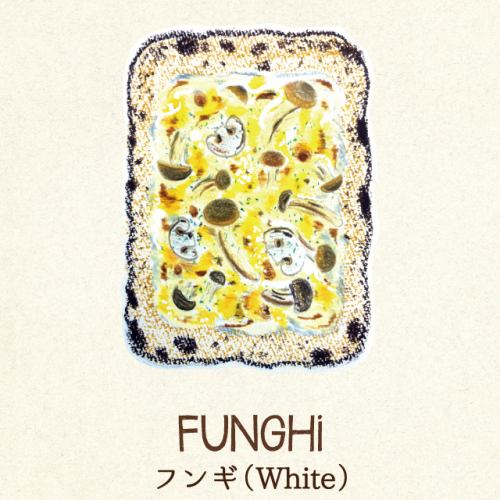 Fungi (white)