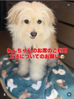 ペット同伴のお客様へ