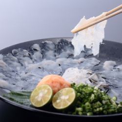 플래터