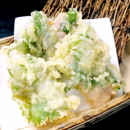 [Tuna] Tuna plum and shiso tempura (3 pieces)