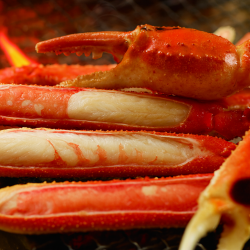 【11月7日~3月20日】【加納蟹】烤蟹