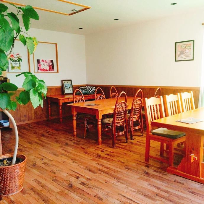 イタリアン フレンチ Dream Dish てんとう虫 公式