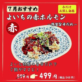 よいちの赤ホルモン