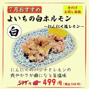 よいちの白ホルモン