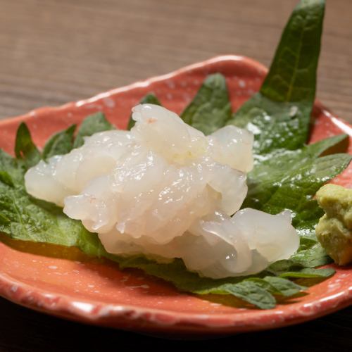 White shrimp sashimi