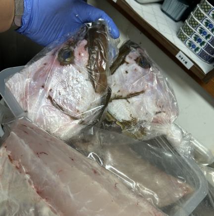 完全个性化！鲷鱼和鰤鱼涮涮锅，盛于小锅中。共10道菜。120分钟畅饮。长达2.5小时的用餐体验。