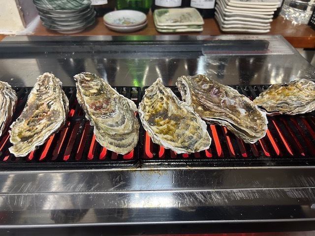 海鮮と朝引き地鶏が旨い!大人の隠れ家ごく天!