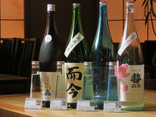 You can even compare sake!