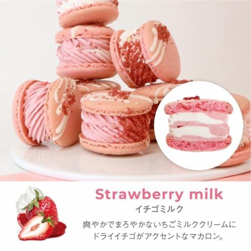 韩式胖马卡龙草莓牛奶