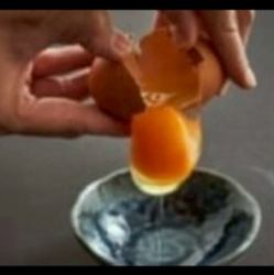 希々花のたまご