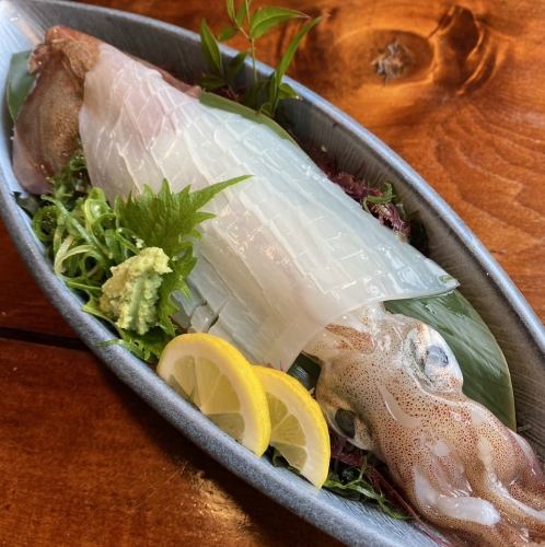 Whole squid sashimi