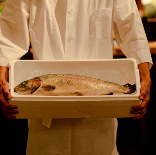 Geihoku salmon sashimi