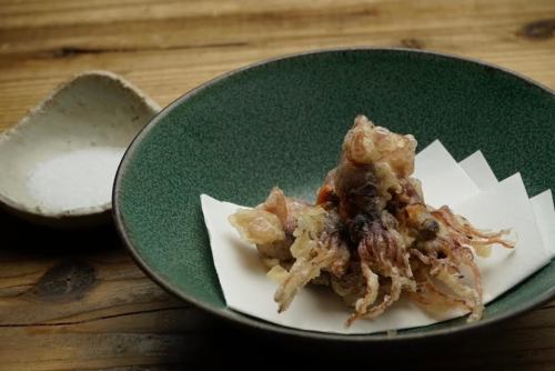 Firefly squid tempura