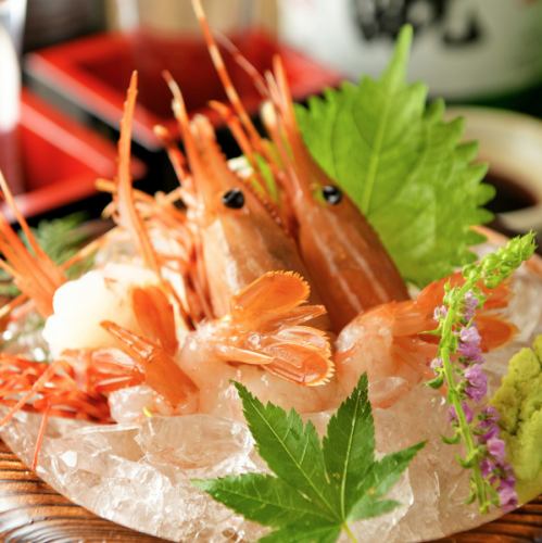 赤海老(三尾)刺身