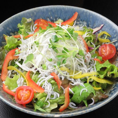 Pot-Fried Whitebait and Sakura Shrimp Salad