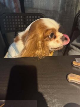 食欲の秋🍂
希少部位