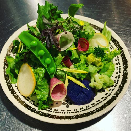 鎌倉、三浦野菜のサラダ