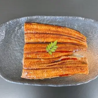 並 太丸半身