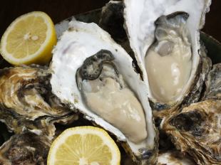 Great value raw oyster tasting set