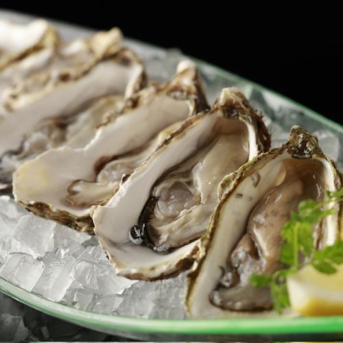 Oyster plate (3 x 2P)
