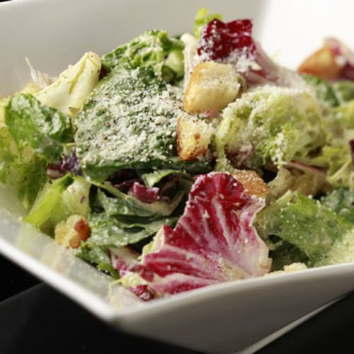 Romaine lettuce Caesar salad with anchovies and rodigiano flavors