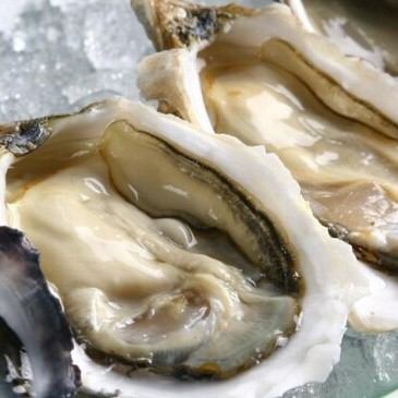 牡蛎，奥马尔虾，精心挑选的海鲜加葡萄酒〜