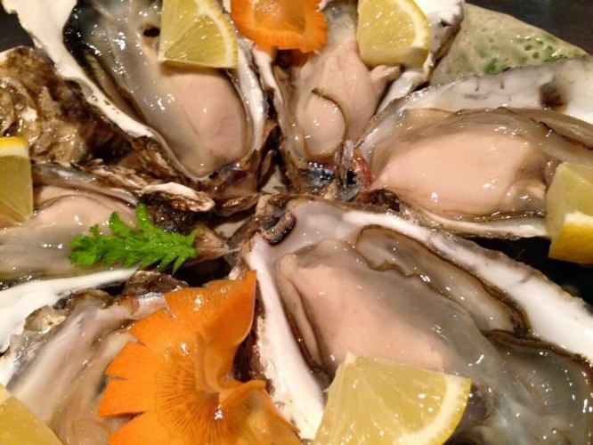 【牡蠣会席６０００円】地酒各種・２時間飲み放題付