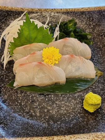 Red sea bream sashimi