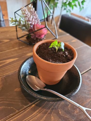 本物みたいな鉢植えティラミス