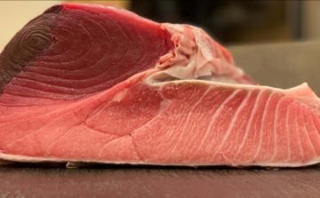 鮪入荷🐟・・・・


