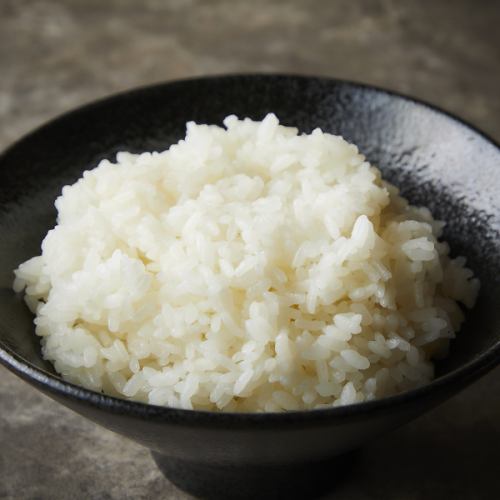 ご飯