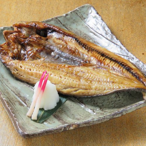 Extra-large atka mackerel from Rausu