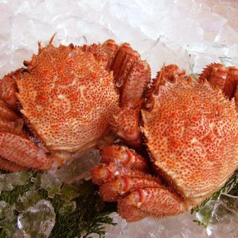 Sea of Okhotsk Omu beach boiled horsehair crab is in full bloom [* The list price is the lowest price]